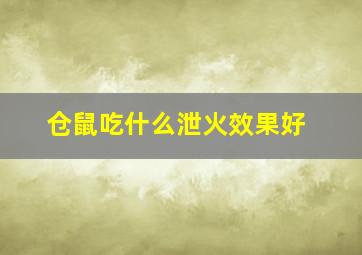 仓鼠吃什么泄火效果好