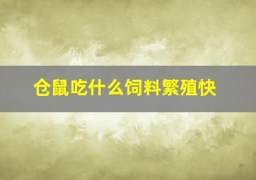 仓鼠吃什么饲料繁殖快