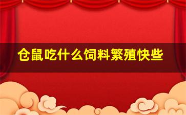 仓鼠吃什么饲料繁殖快些