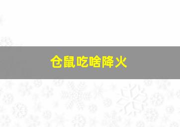 仓鼠吃啥降火