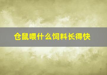 仓鼠喂什么饲料长得快