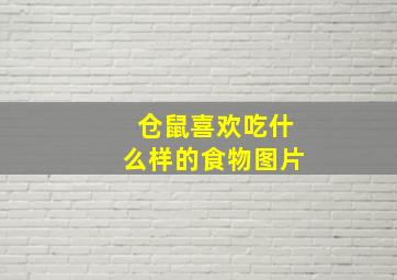 仓鼠喜欢吃什么样的食物图片