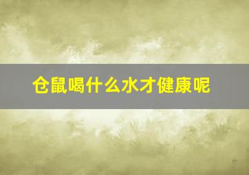 仓鼠喝什么水才健康呢