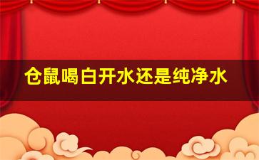 仓鼠喝白开水还是纯净水