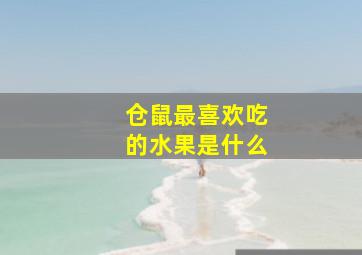 仓鼠最喜欢吃的水果是什么