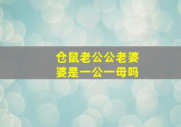 仓鼠老公公老婆婆是一公一母吗