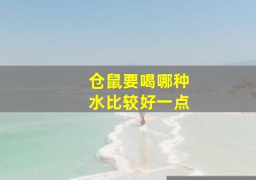 仓鼠要喝哪种水比较好一点