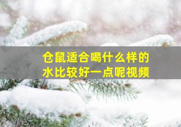 仓鼠适合喝什么样的水比较好一点呢视频