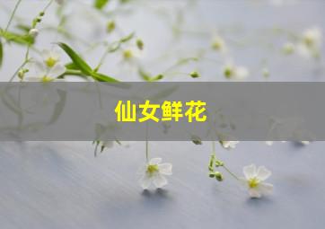 仙女鲜花