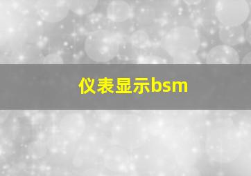 仪表显示bsm