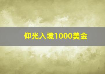 仰光入境1000美金