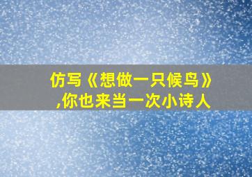 仿写《想做一只候鸟》,你也来当一次小诗人