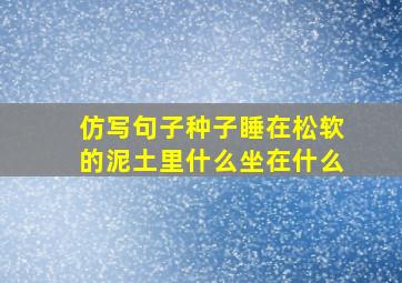 仿写句子种子睡在松软的泥土里什么坐在什么