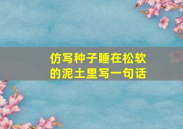 仿写种子睡在松软的泥土里写一句话