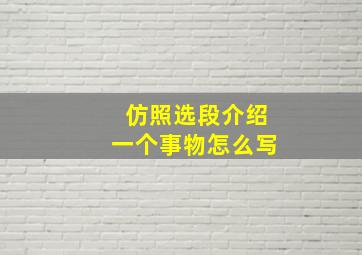 仿照选段介绍一个事物怎么写