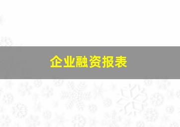 企业融资报表