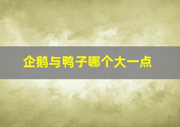 企鹅与鸭子哪个大一点