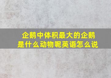 企鹅中体积最大的企鹅是什么动物呢英语怎么说