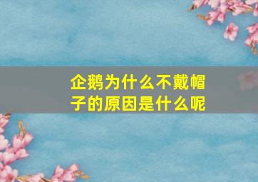 企鹅为什么不戴帽子的原因是什么呢