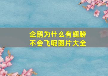 企鹅为什么有翅膀不会飞呢图片大全