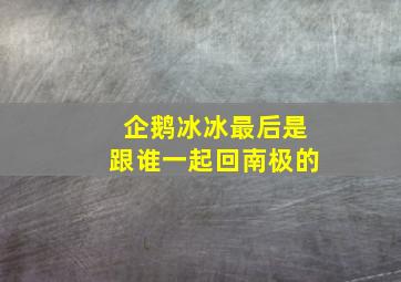 企鹅冰冰最后是跟谁一起回南极的