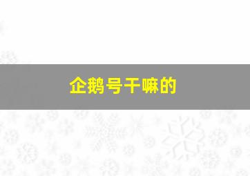 企鹅号干嘛的