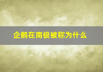 企鹅在南极被称为什么