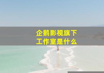 企鹅影视旗下工作室是什么