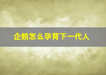 企鹅怎么孕育下一代人