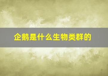 企鹅是什么生物类群的