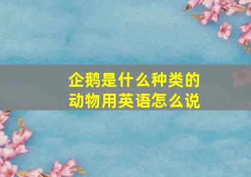 企鹅是什么种类的动物用英语怎么说