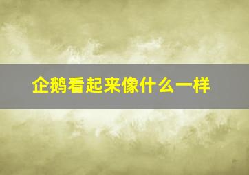 企鹅看起来像什么一样