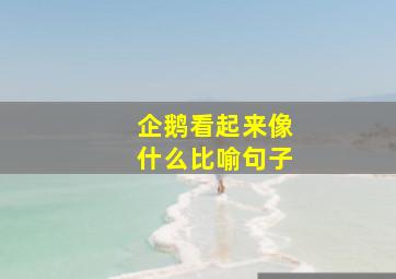 企鹅看起来像什么比喻句子