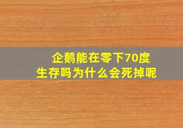 企鹅能在零下70度生存吗为什么会死掉呢