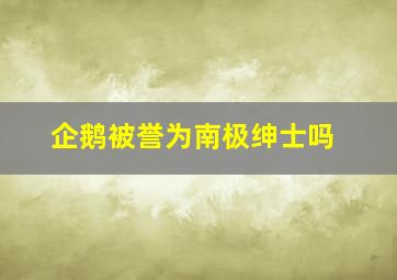 企鹅被誉为南极绅士吗