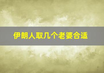 伊朗人取几个老婆合适