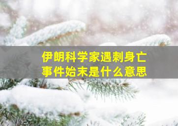 伊朗科学家遇刺身亡事件始末是什么意思