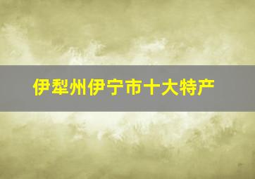 伊犁州伊宁市十大特产