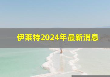 伊莱特2024年最新消息