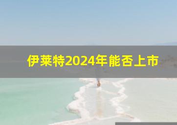 伊莱特2024年能否上市