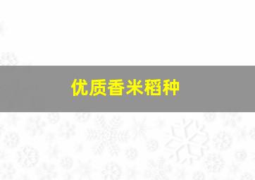 优质香米稻种