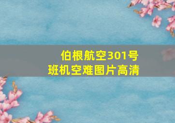 伯根航空301号班机空难图片高清