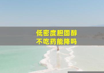 低密度胆固醇不吃药能降吗