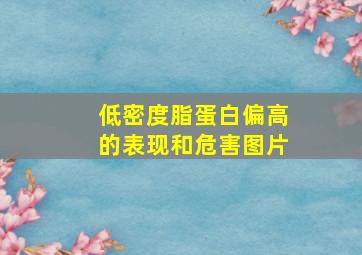 低密度脂蛋白偏高的表现和危害图片