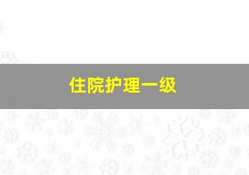 住院护理一级