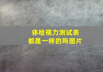 体检视力测试表都是一样的吗图片