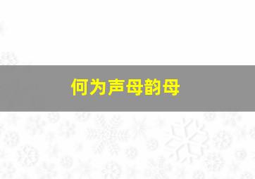 何为声母韵母