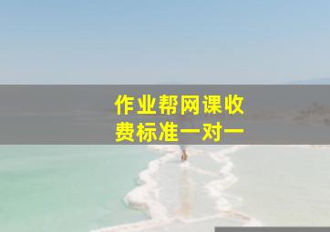 作业帮网课收费标准一对一