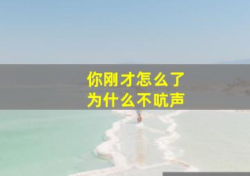 你刚才怎么了为什么不吭声