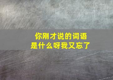 你刚才说的词语是什么呀我又忘了